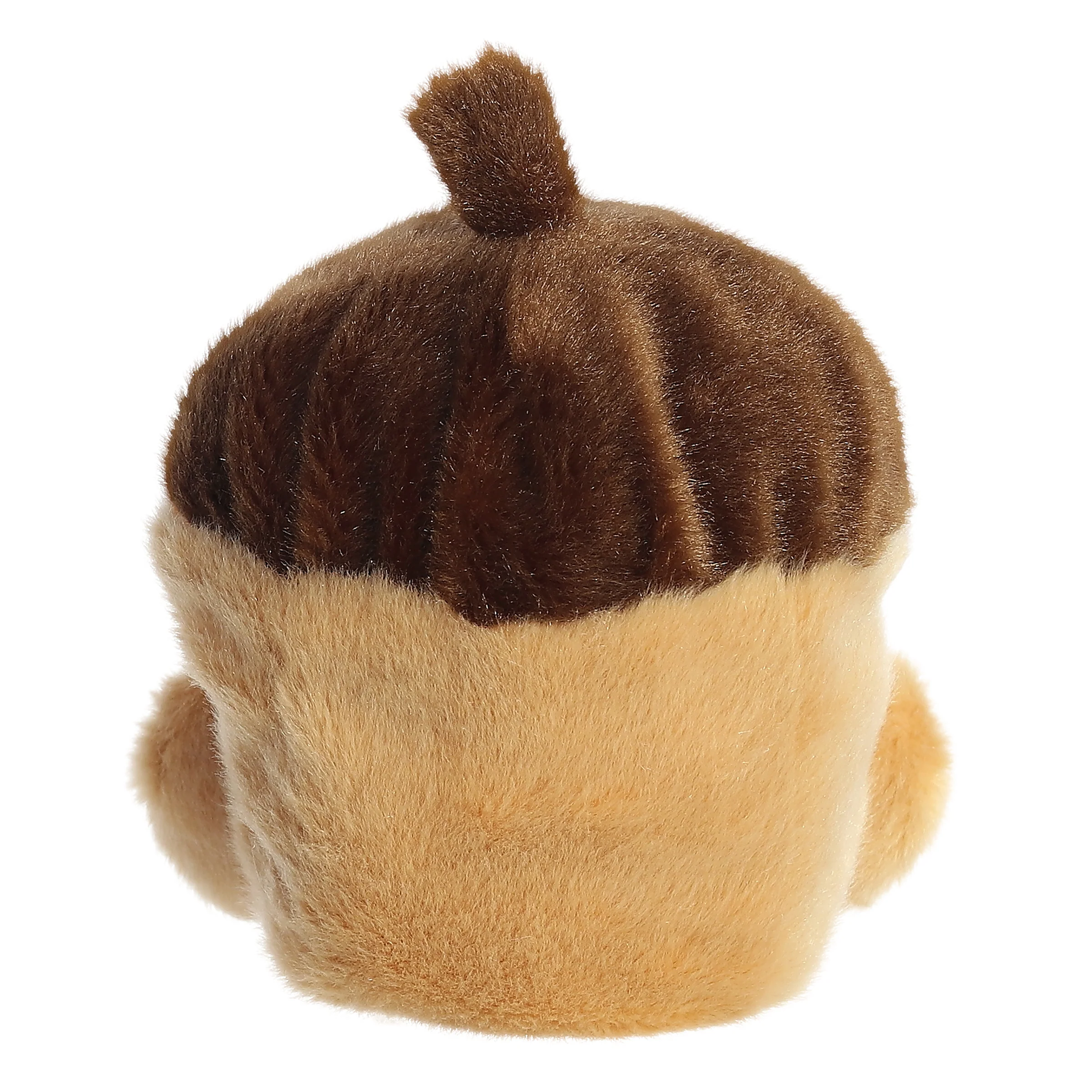 Oak Acorn™ - Image 4