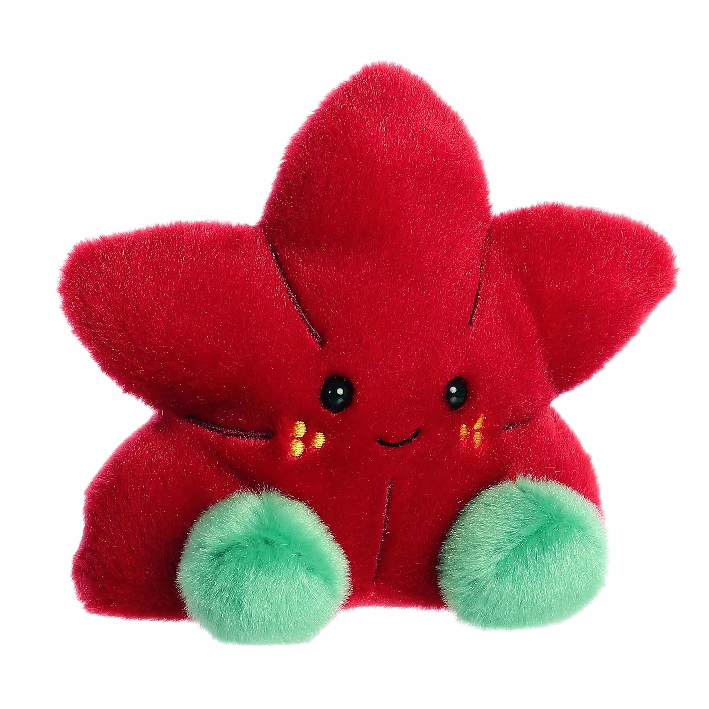 Carmine Poinsettia™ - Image 2